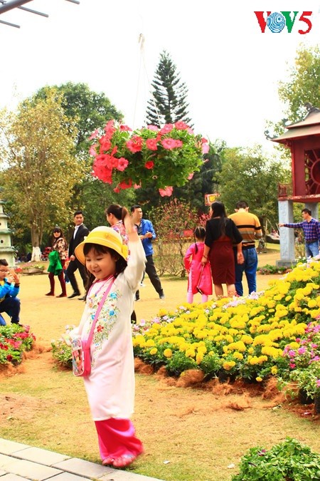 Flores primaverales alegran zona urbana ecológica - ảnh 13