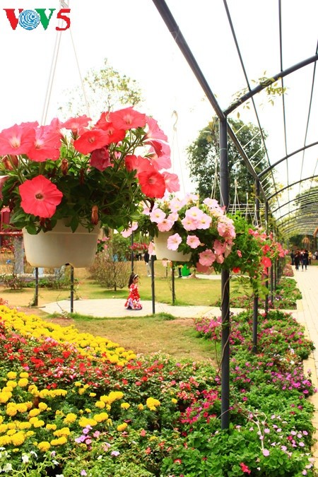 Flores primaverales alegran zona urbana ecológica - ảnh 4