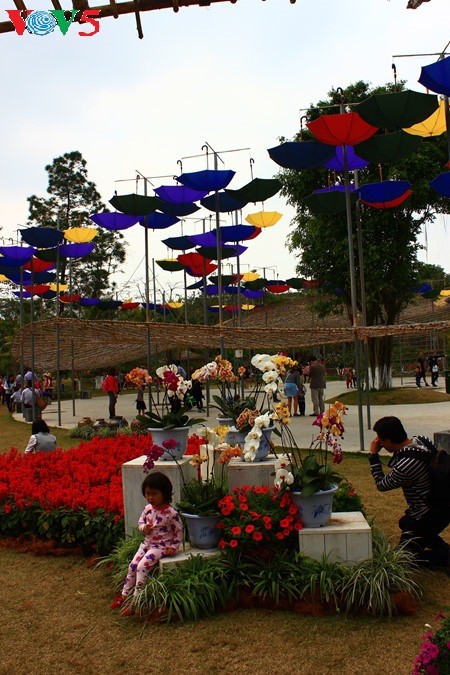 Flores primaverales alegran zona urbana ecológica - ảnh 7