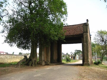 Rasgos típicos de las aldeas en el Delta del río Rojo - ảnh 1