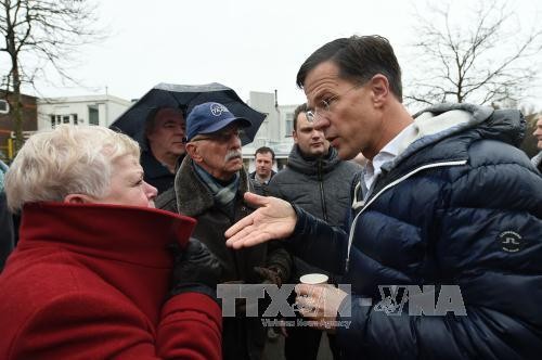 Premier holandés proclama su victoria en elecciones parlamentarias - ảnh 1