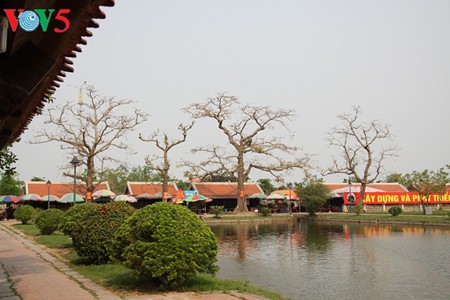 Pagoda Keo: singularidad arquitectónica de la provincia norteña de Thai Binh - ảnh 4