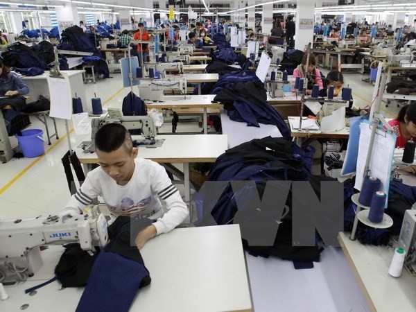 Prepara Vietnam normativa para evaluar el desarrollo de las empresas nacionales - ảnh 1