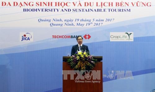 Asean reconoce los valores ecológicos del Parque Bai Tu Long de Vietnam  - ảnh 1