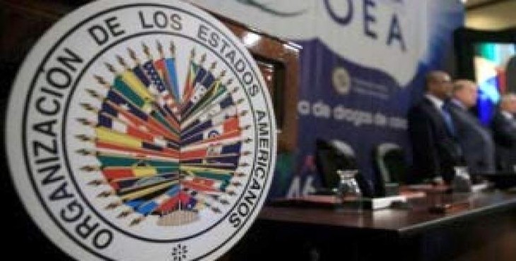 Suspenden sesión de la OEA sin resolución final sobre Venezuela - ảnh 1