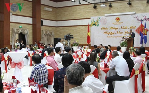 Vietnamitas en el exterior festejan la cercana fiesta del Año Nuevo Lunar  - ảnh 1