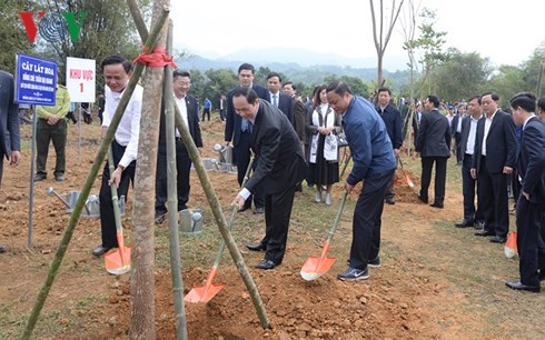 Promueven en Vietnam Festival de la Siembra de Árboles  - ảnh 2