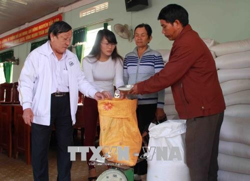 Piden prestar mayor atención a las minorías étnicas de Vietnam en el Centro y la Meseta Occidental - ảnh 1