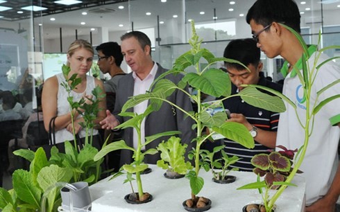 Ciudad centrovietnamita brinda apoyos a decenas de proyectos emprendedores - ảnh 1