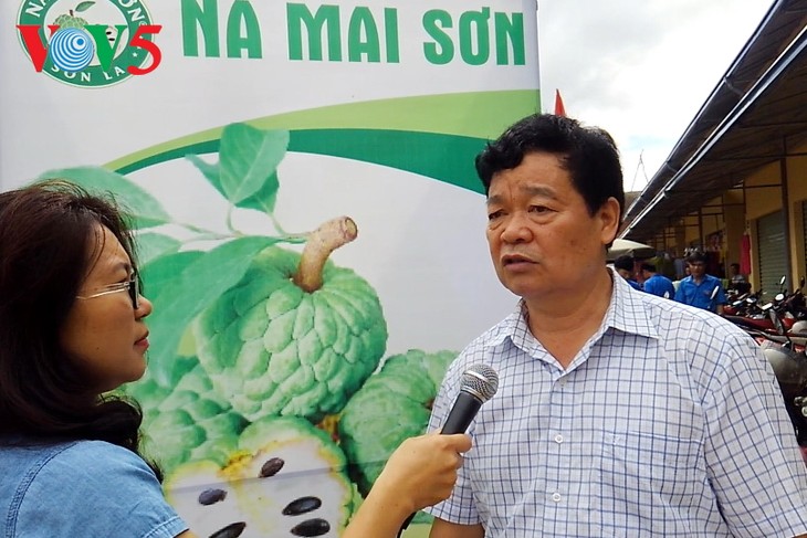 Mai Son custard-apple trademark - ảnh 1