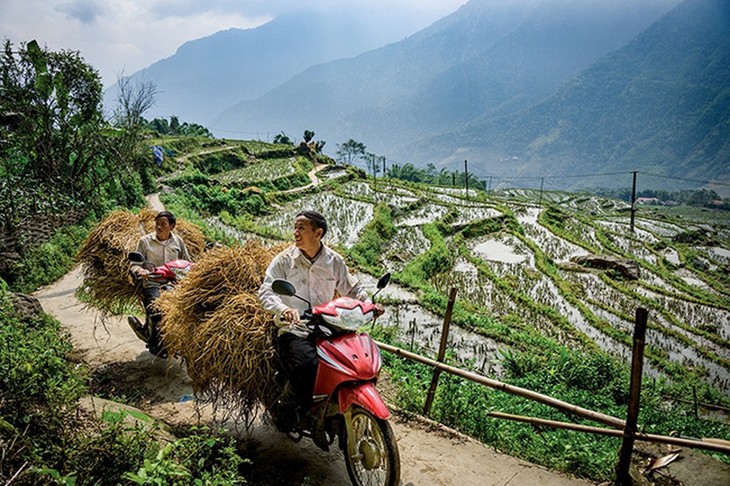 Parque vietnamita entre los 28 lugares más interesantes del mundo en 2019 - ảnh 1