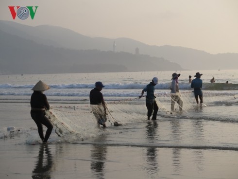 Reanudan producción agrícola en localidades vietnamitas tras días feriados del Tet - ảnh 2