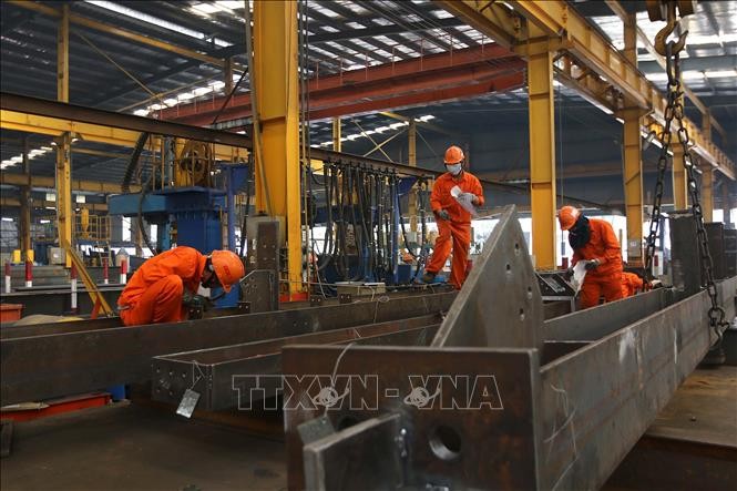 Vietnam promueve igualdad de género en entorno laboral - ảnh 1