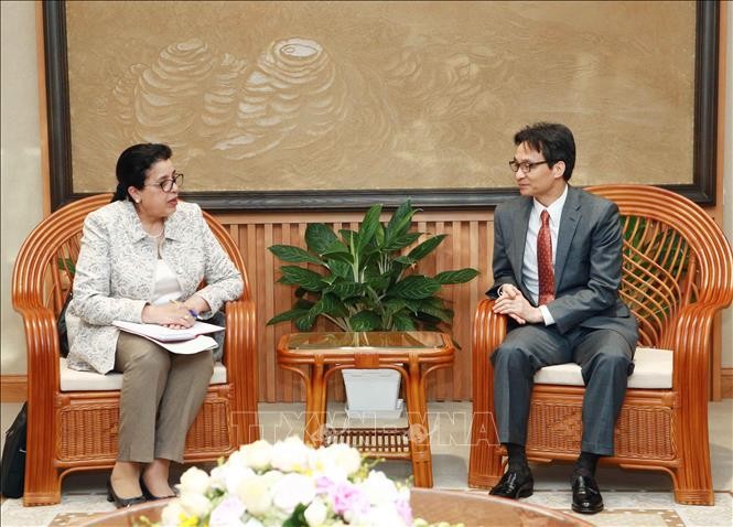 Vicepremier vietnamita recibe a subjefa de la OIEA - ảnh 1