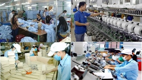 Vietnam alienta el desarrollo del área privada - ảnh 1