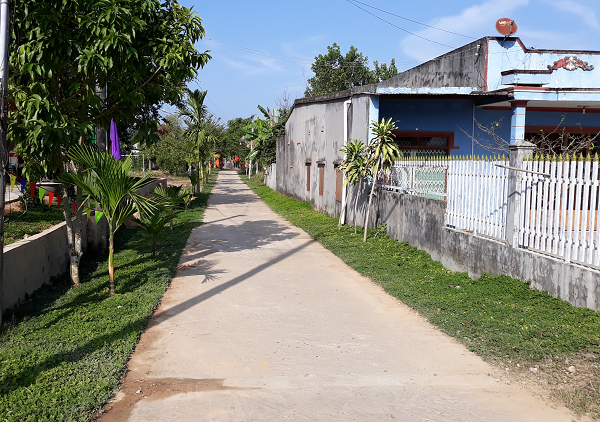 Nueva vida en una comuna de las Tierras Altas - ảnh 1