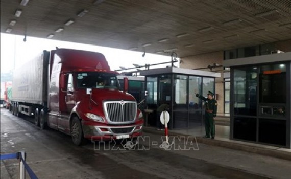 Exportaciones e importaciones tramitadas en puerta fronteriza de Lao Cai en el inicio del Año de la Rata - ảnh 1