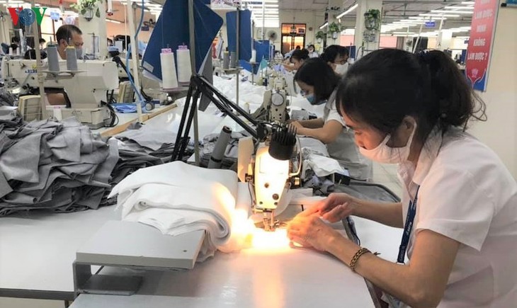 Vietnam por intensificar reformas institucionales para aprovechar las ventajas ofrecidas por el EVFTA - ảnh 1