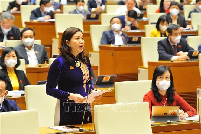 Diputados debaten medidas de apoyo a las pequeñas empresas para acelerar la reanimación económica - ảnh 1