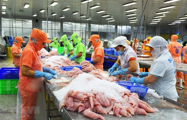 México entre los tres mayores importadores de pangasius vietnamita - ảnh 1