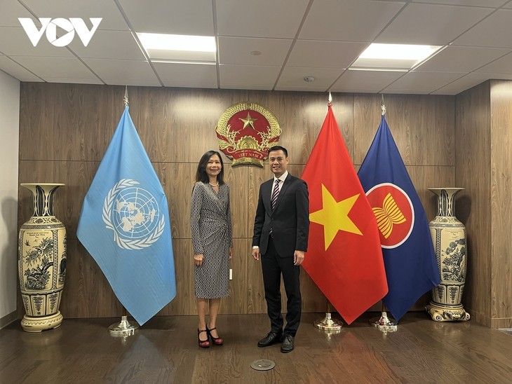 Vietnam interesado en fortalecer cooperación con la ONU - ảnh 1