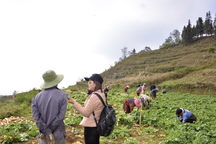 VOV contribuye a llevar voces de los ciudadanos a la Asamblea Nacional - ảnh 2