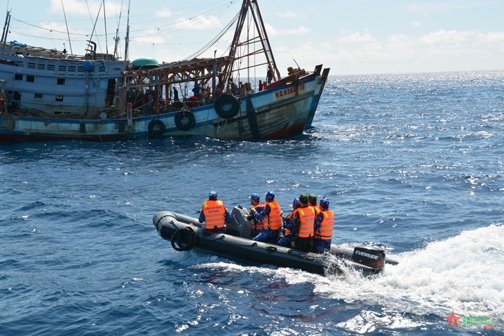 Vietnam se concentra en controlar la pesca ilegal, no declarada y no reglamentada - ảnh 1