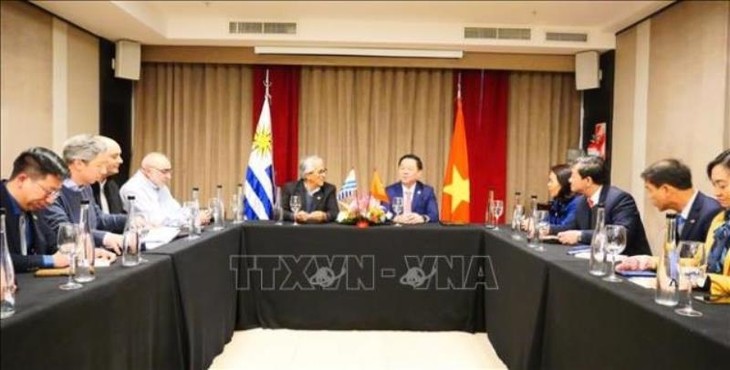 Vietnam y Argentina afianzan relaciones de cooperación - ảnh 2