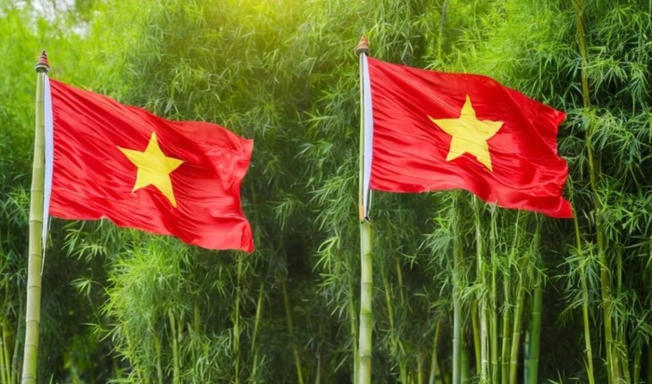 La Diplomacia del Bambú: Un Análisis Geopolítico de la Estrategia Diplomática de Vietnam - ảnh 1