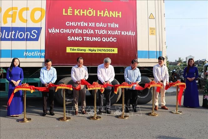 Provincia de Tien Giang exporta primer lote de coco de cuota oficial a China - ảnh 1