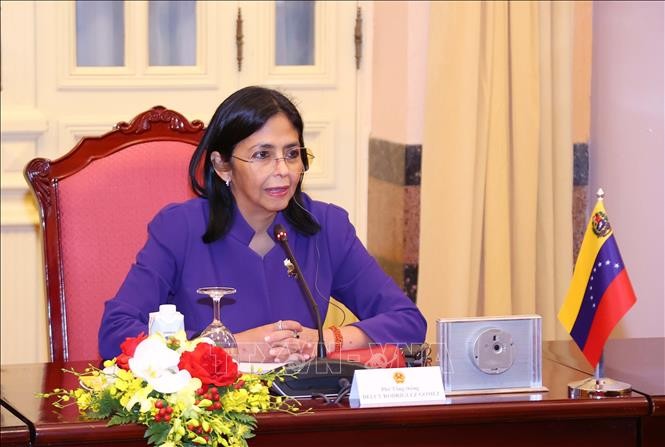 Vicepresidenta de Venezuela inicia su visita oficial a Vietnam - ảnh 3