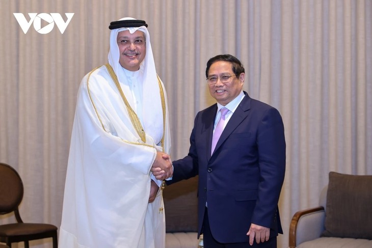 Jefe de Gobierno vietnamita se reúne con autoridades de ministerios y agencias qataríes - ảnh 1