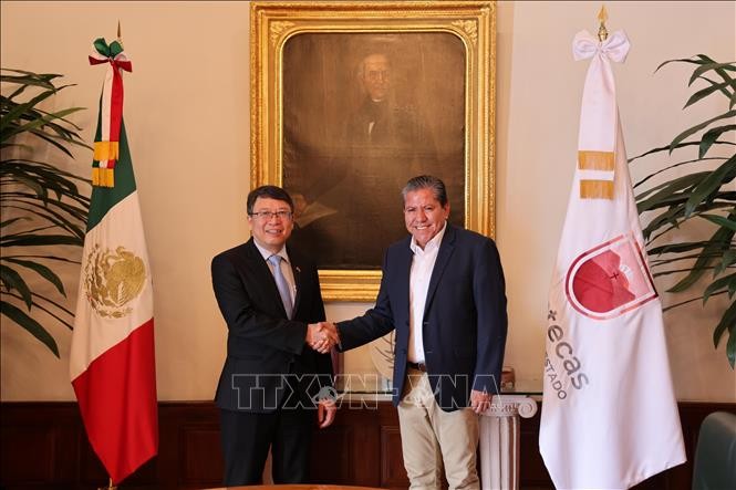 Vietnam busca oportunidades de cooperación con localidades mexicanas - ảnh 1