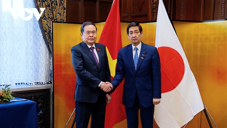 Líder del Parlamento vietnamita se reúne con el presidente del Senado japonés - ảnh 1