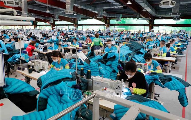 Sector textil de Vietnam ​proyecta lograr 48 mil millones de dólares en exportación para 2025 - ảnh 1