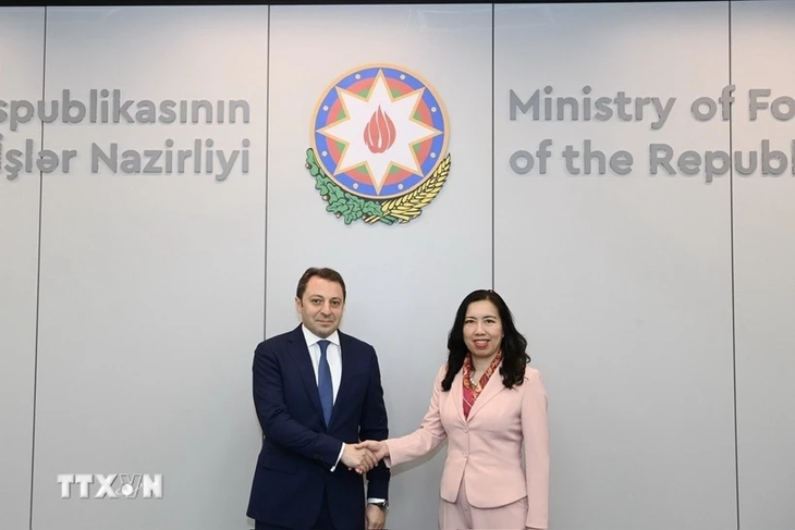 Vietnam y Azerbaiyán debaten medidas para fortalecer relaciones bilaterales - ảnh 1