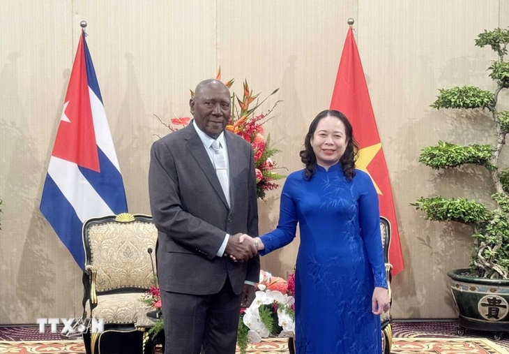 Vicepresidenta de Vietnam se reúne con su homólogo cubano - ảnh 1