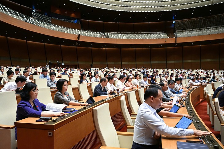 La Asamblea Nacional exhibe máxima responsabilidad hacia los votantes y el país - ảnh 2
