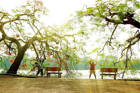 Hanói y su ritmo moderno y juvenil en la música - ảnh 1