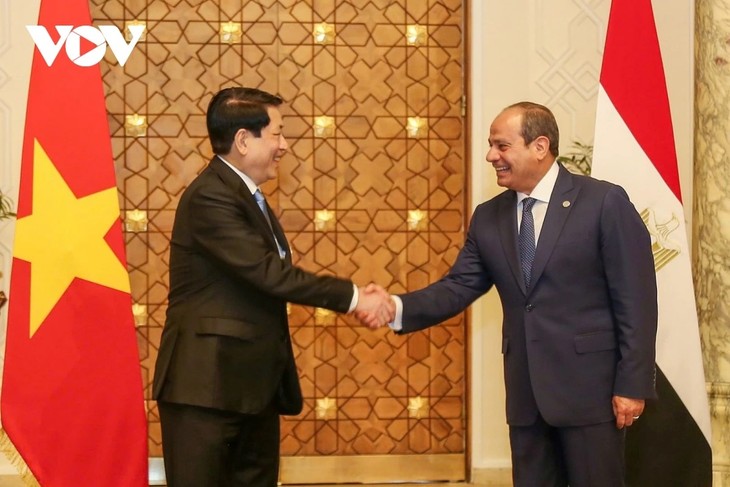 Vietnam y Egipto establecen Asociación Integral  - ảnh 1
