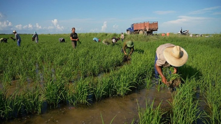 Proyectarán en Vietnam y Cuba el documental especial “Semillas de Felicidad” - ảnh 1