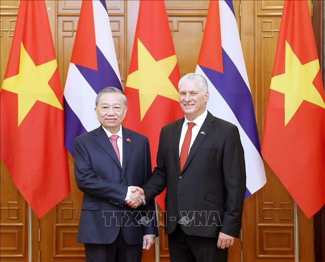 Vietnam y Cuba reafirman lazos de solidaridad y cooperación integral - ảnh 1