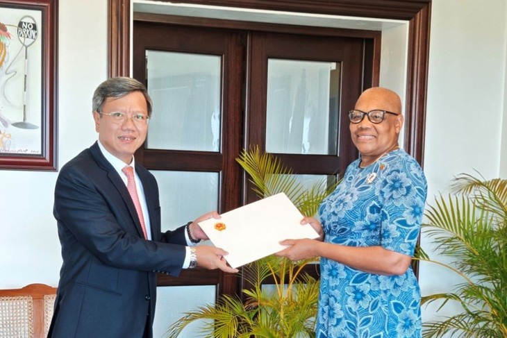 Promoción de mecanismos de cooperación práctica entre Vietnam y San Cristóbal y Nieves - ảnh 1