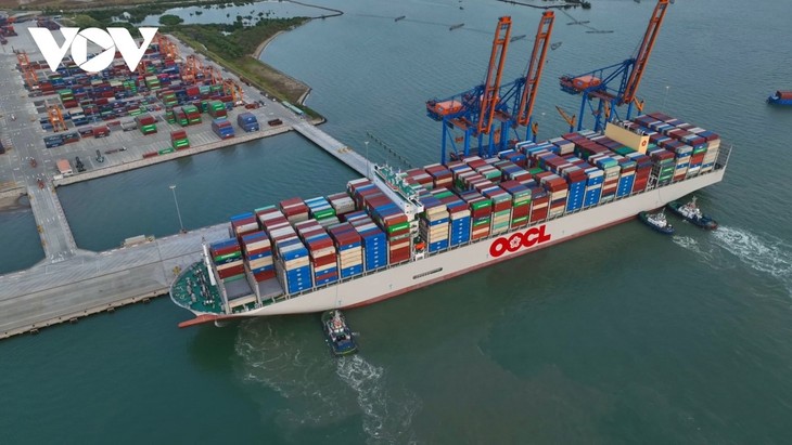 Ciudad Ho Chi Minh impulsa el desarrollo de una megalópolis orientada hacia la economía marítima - ảnh 3