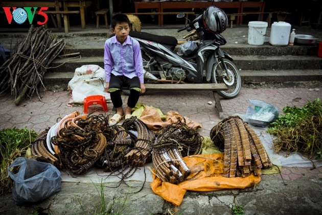 Chợ phiên Bắc Hà, những sắc màu văn hóa vùng cao - ảnh 21