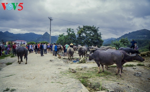 Chợ phiên Bắc Hà, những sắc màu văn hóa vùng cao - ảnh 25