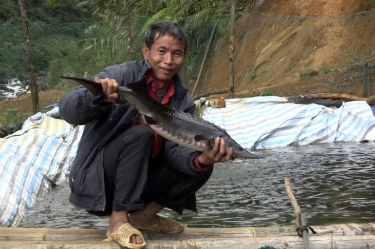 La pisciculture en eau froide, une solution d’avenir…    - ảnh 3