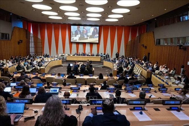 L’ONU adopte un traité historique pour protéger la haute mer    - ảnh 1