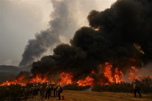 Les incendies à Hawaï parmi les catastrophes les plus meurtrières de l’archipel - ảnh 1