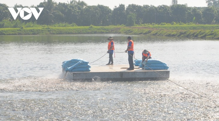 Panga: un exemple de l’économie circulaire dans le delta du Mékong    - ảnh 1